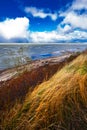 Coast of the Ob sea. Novosibirsk region, Western Siberia, Russia