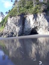 Coast ocean waves trees beach rocks water cave sand sky Washington Royalty Free Stock Photo