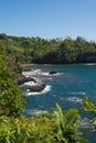 The coast of Onomea Bay, Hawaii