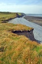 Coast path in North Devon Royalty Free Stock Photo