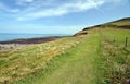 Coast path in North Devon Royalty Free Stock Photo