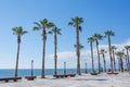 The coast with the promenade and the beach with Washingtonia palm trees in the day sun