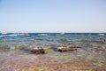 Coast of the Red Sea, Egypt. surf line. Wind and waves. A little storm. Background tourism and travel. Blue water and sky Royalty Free Stock Photo