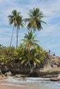 Coast with rock at Punta Manzanillo in Gandoca Manzanillo National Wildlife Refuge, Costa Rica Royalty Free Stock Photo