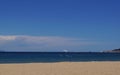 A sea full of white seagulls Royalty Free Stock Photo