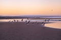 Coast of Sidi Kaouki, Morocco, Africa. Sunset time. morocco`s wonderfully surf town