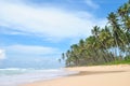 The coast of Sri Lanka. Oceanic beach, palm trees, coconuts, white sand, sea. Royalty Free Stock Photo