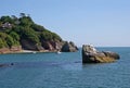 Coast of Torbay Royalty Free Stock Photo