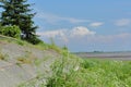 Coast tree and grass Royalty Free Stock Photo