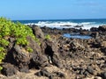 Coast Waikiki Hawaii Lava Rock