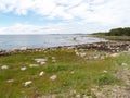 The coast of the White Sea at the Big Solovki island, Russia Royalty Free Stock Photo