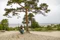 On the coast of the White Sea, a girl swinging on a swing. Royalty Free Stock Photo