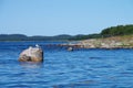 Coast of the White sea in Solovki, Russia Royalty Free Stock Photo