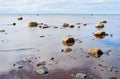 Coast of White Sea, Solovki, Russia Royalty Free Stock Photo