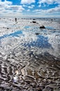 Coast of White Sea, Solovki, Russia Royalty Free Stock Photo