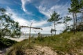 Coastal area in Lithuania Coastal scenery with sandy beach, dunes with marram grass and rough sea on a clear summer day