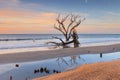 Coastal Beach Landscape South Carolina