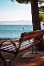 Coastal bench under tree with sea view Royalty Free Stock Photo
