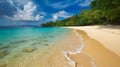 Coastal bliss, breathtaking tropical beach, whispering breezes, and serene coastal beauty