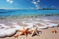 Coastal bliss Seashells and starfish embellish the idyllic tropical beach scene