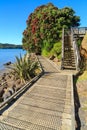 Coastal boardwalk and pohutukawa tree, New Zealand