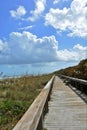 Coastal Boardwalk