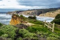 Coastal Cliff in Northern California