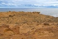 Coastal cliff at Petrified Forest Walk, Cape Bridgewater in Victoria, Australia