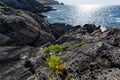 Coastal cliffs in the area of Dunlough Bay Royalty Free Stock Photo