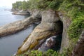 Coastal Cliffs at Cape Flattery Royalty Free Stock Photo