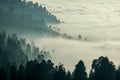 Panorama of coastal cloudbank enveloping forested hills Royalty Free Stock Photo