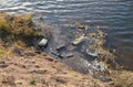 A coastal debris the UDA river