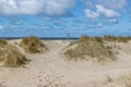 Coastal dune with trails, wild grass with beach and sea in the background Royalty Free Stock Photo