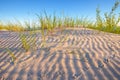 Coastal Dunes of the Baltic Sea Shore. Royalty Free Stock Photo