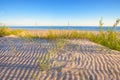 Coastal Dunes of the Baltic Sea Shore. Royalty Free Stock Photo