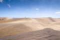 Coastal dunes in Maspalomas Royalty Free Stock Photo