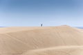 Coastal dunes in Maspalomas Royalty Free Stock Photo