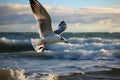 Coastal elegance Seagull soars gracefully against a vast sea backdrop