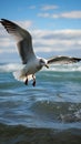 Coastal elegance Seagull soars gracefully against a vast sea backdrop