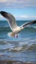 Coastal elegance Seagull soars gracefully against a vast sea backdrop