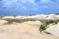 Coastal Environment Background North Carolina Royalty Free Stock Photo