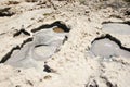 Coastal eroded landscape