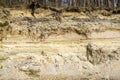 Coastal erosion exposed various layers of the earth