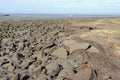 Coastal erosion at Hest Bank on Morecambe Bay. Royalty Free Stock Photo