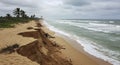 Coastal Erosion on Sandy Beach with Palm Trees and Cloudy Sky Royalty Free Stock Photo