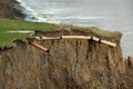 Coastal erosion of soft clay glacial cliffs in east Yorkshire, UK.