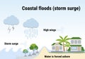 Coastal floods, storm surge. Flooding infographic. Flood natural disaster with rainstorm, weather hazard. Houses, trees covered