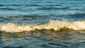 Coastal foamy sea wave on a sunny summer day, nature abstract background