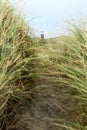 Coastal grass and lighthouse