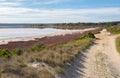 Coastal Grasses at Hutt Lagoon